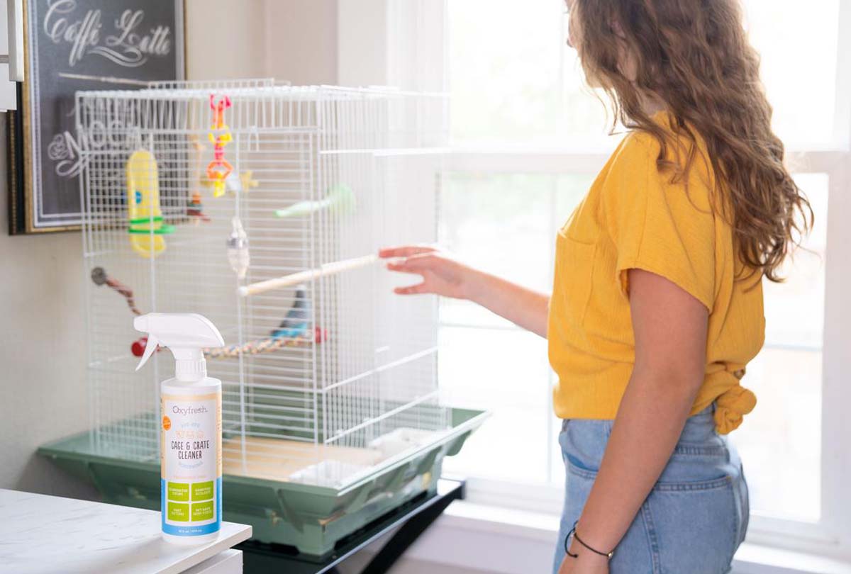 woman-in-yellow-shirt-looking-at-clean-bird-cage-after-using-oxyfresh-cage-and-crate-cleaner-for-easy-bird-cage-cleaning-safe-for-birds