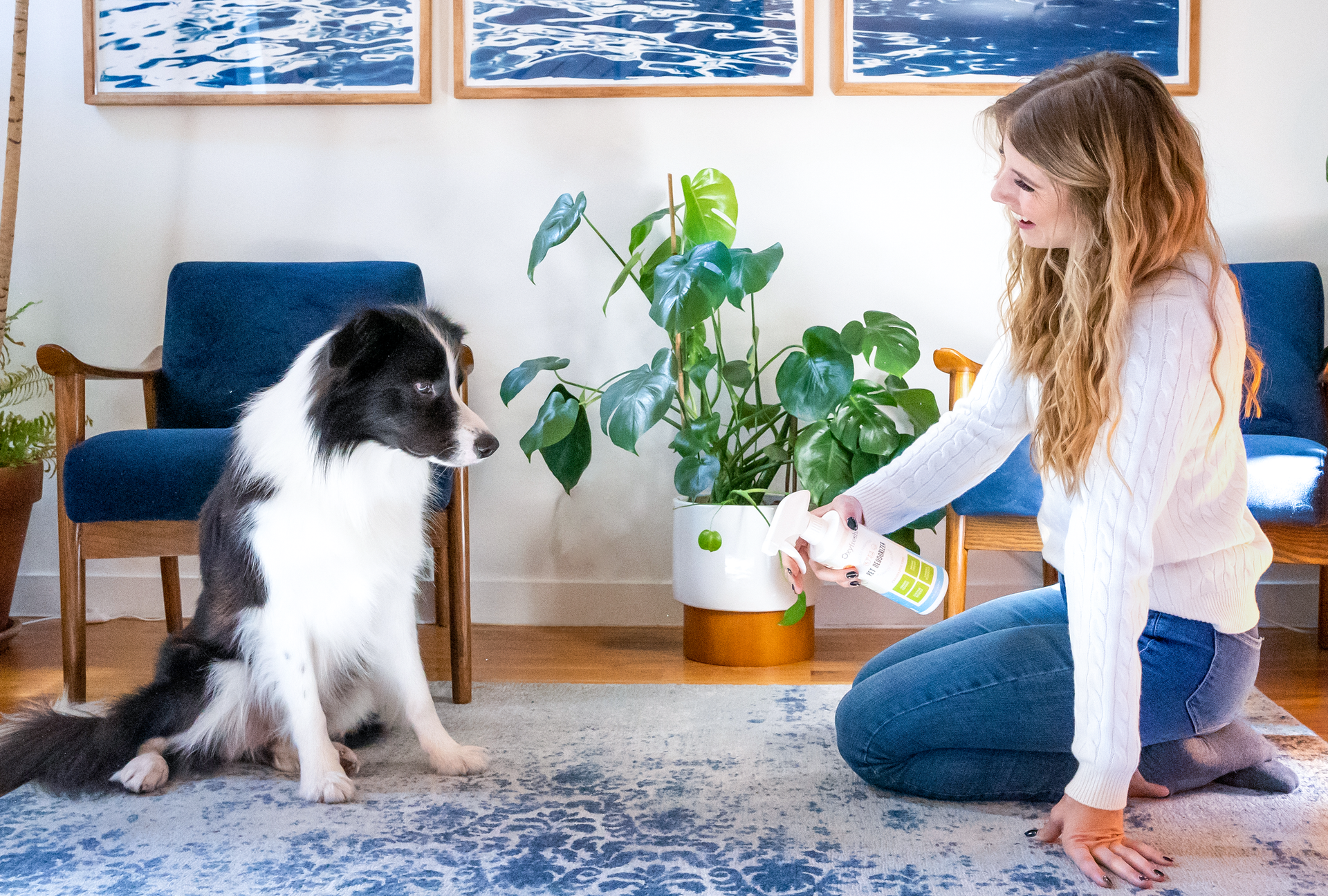 Oxyfresh - Everything You Should Know About Pet Deodorizers