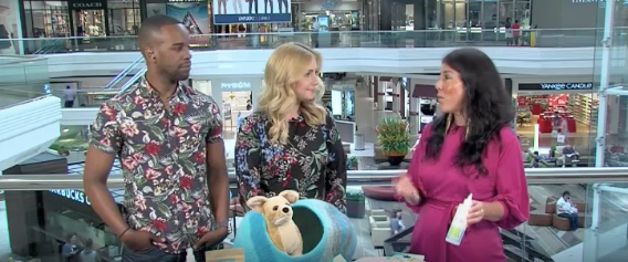 Oxyfresh Pet Featured on NBC CT Live