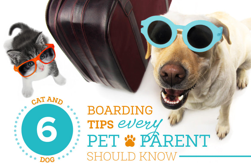 Oxyfresh - Dog Boarding