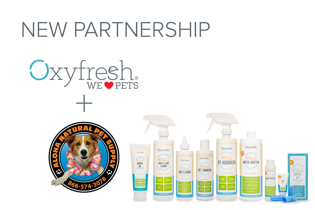 aloha partnership