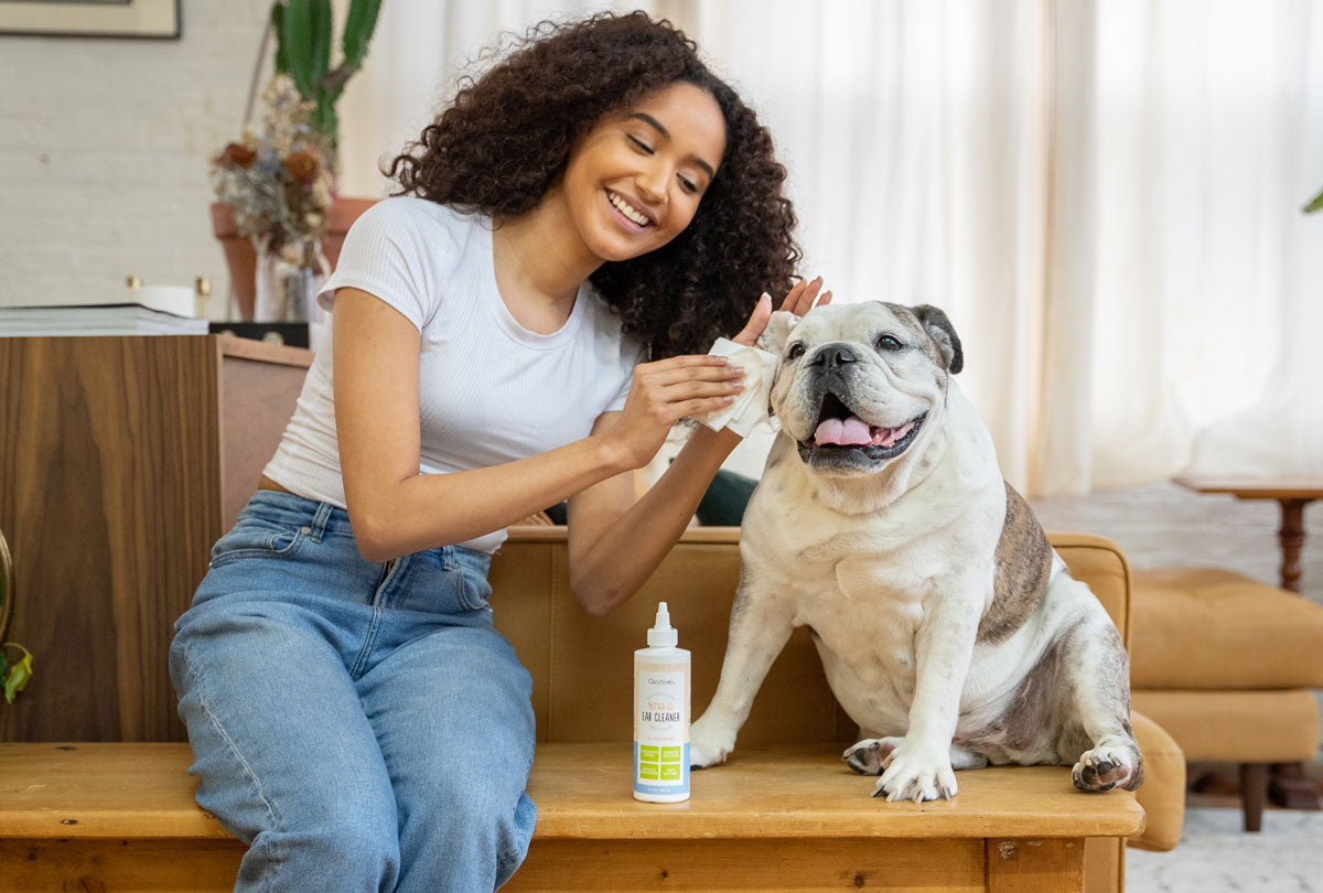 How Does Dog Ear Wash Work? Tool-Free, Swab-Free Solution.
