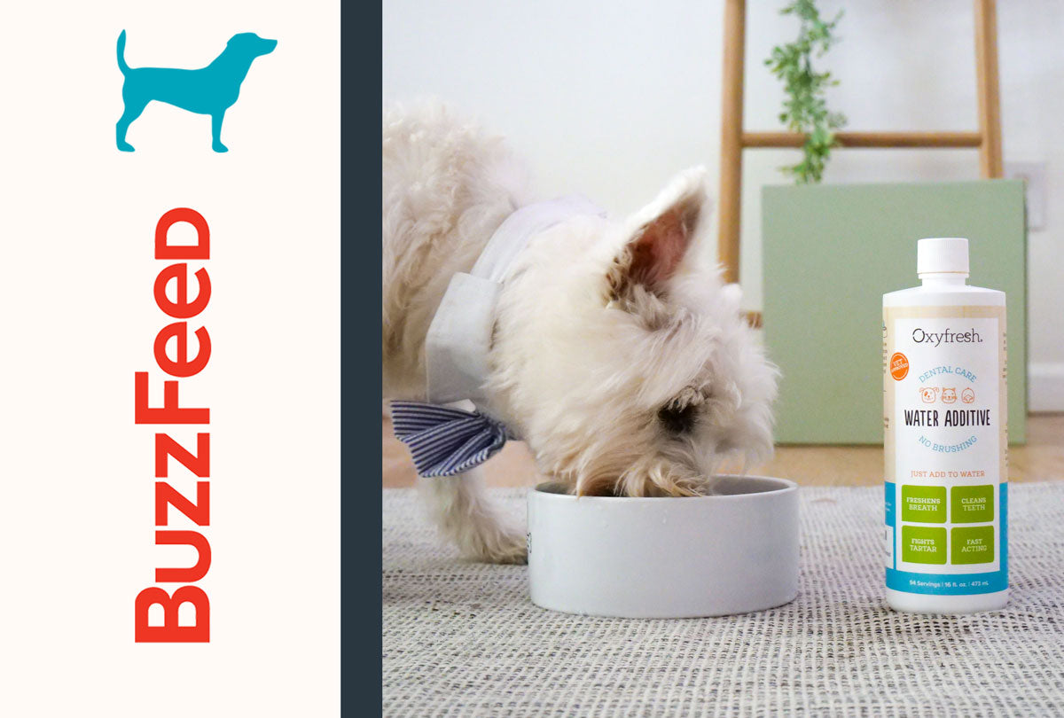 35 Products Reviewers Turned to When Nothing Else Worked