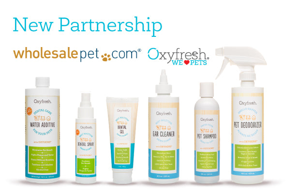 Pet-Business-Annoucement-Graphic