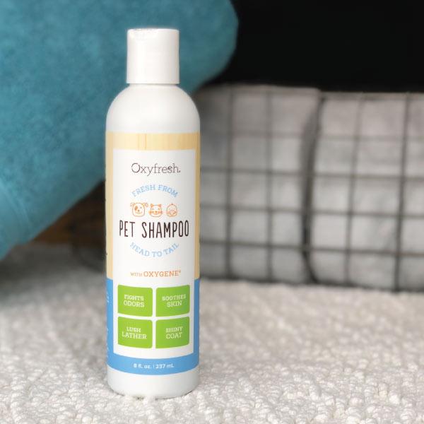 pet shampoo