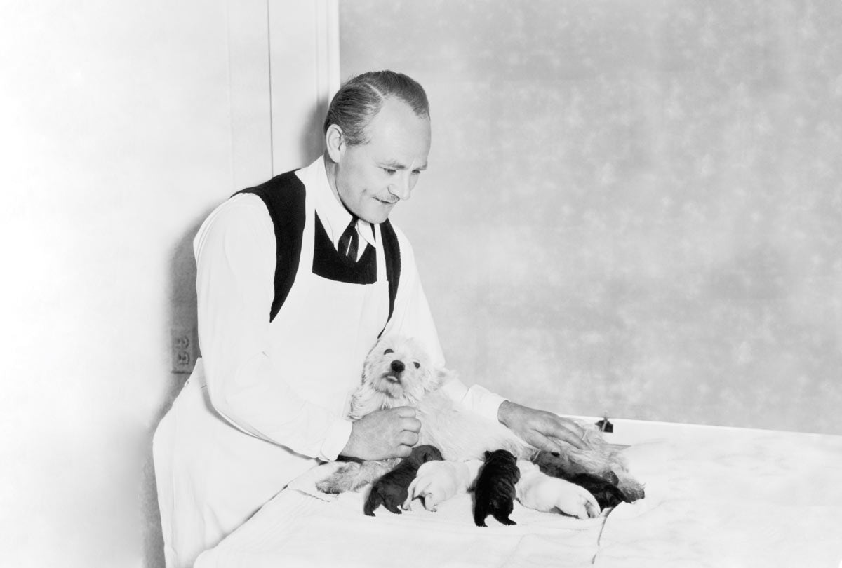 Survey Says: Do You Know Your History of Pet Dental Health Month?