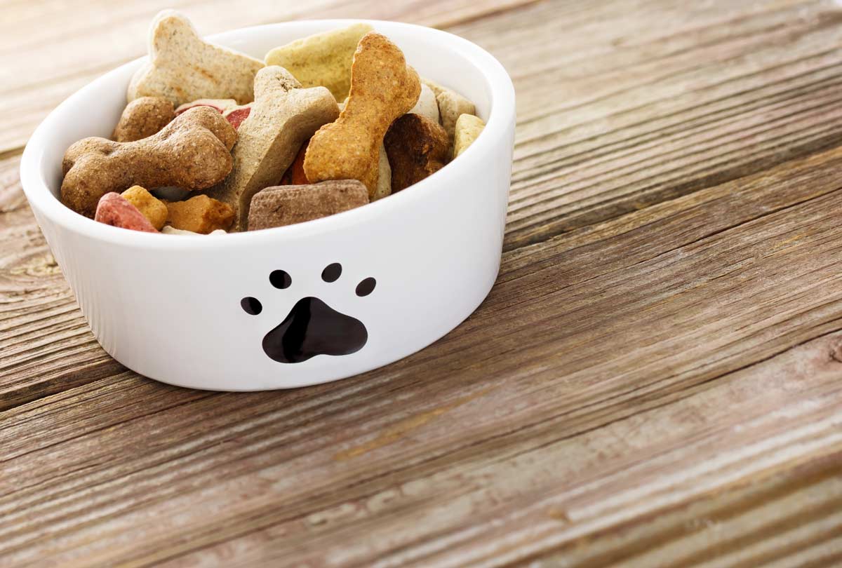 Oxyfresh - 6 Best Treats for Dog Bad Breath