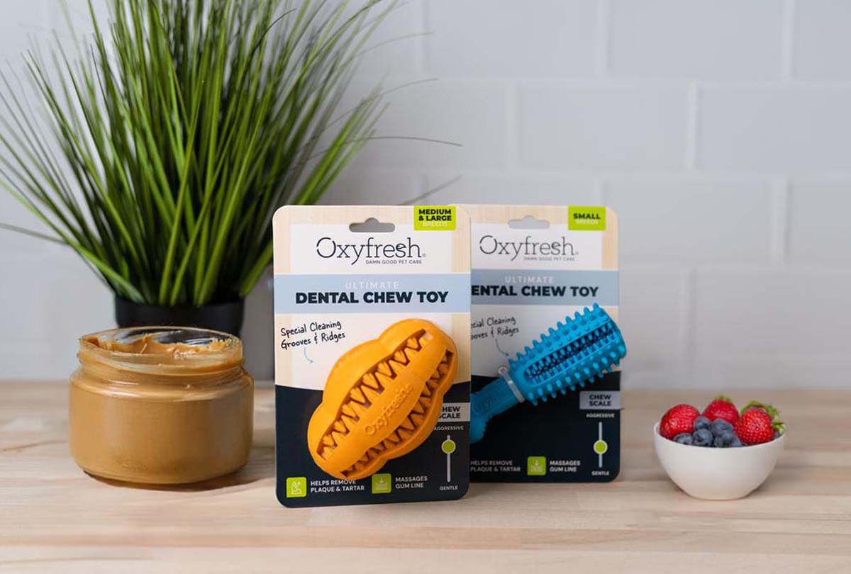 oxyfresh-dog-dental-chew-toy-next-to-jar-of-dog-safe-peanut-butter-and-berries-for-dog-safe-diy-dog-summer-enrichment-treat