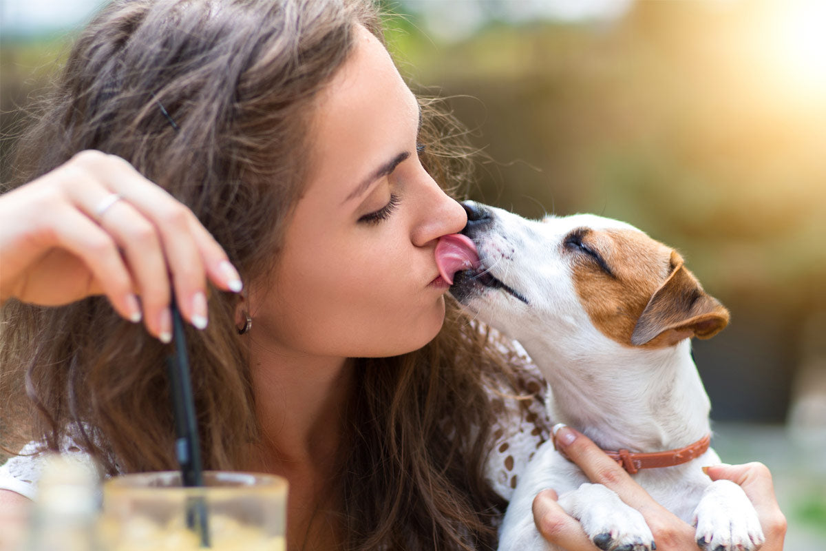 Oxyfresh - Is it safe for my Dog to Kiss my Friends Face