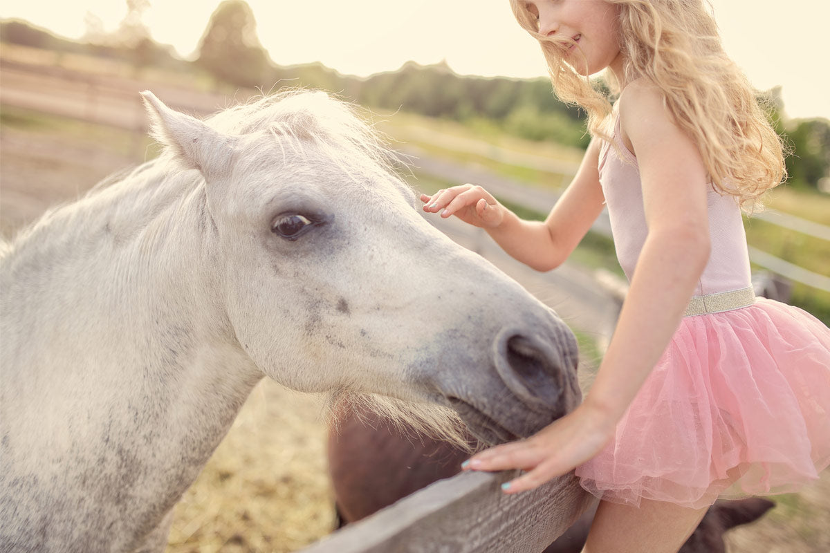 Bad Breath in Pet Horse
