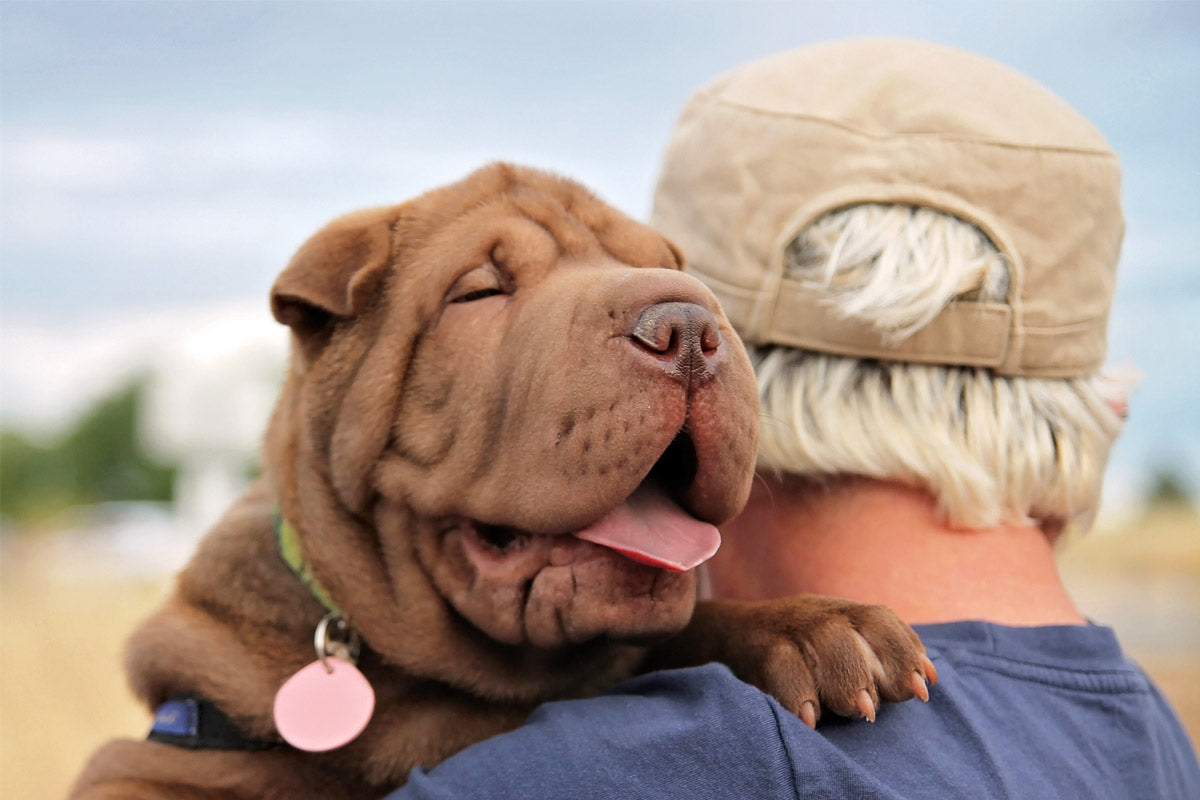 Oxyfresh - Lazy Owner Tips to Bad Breath