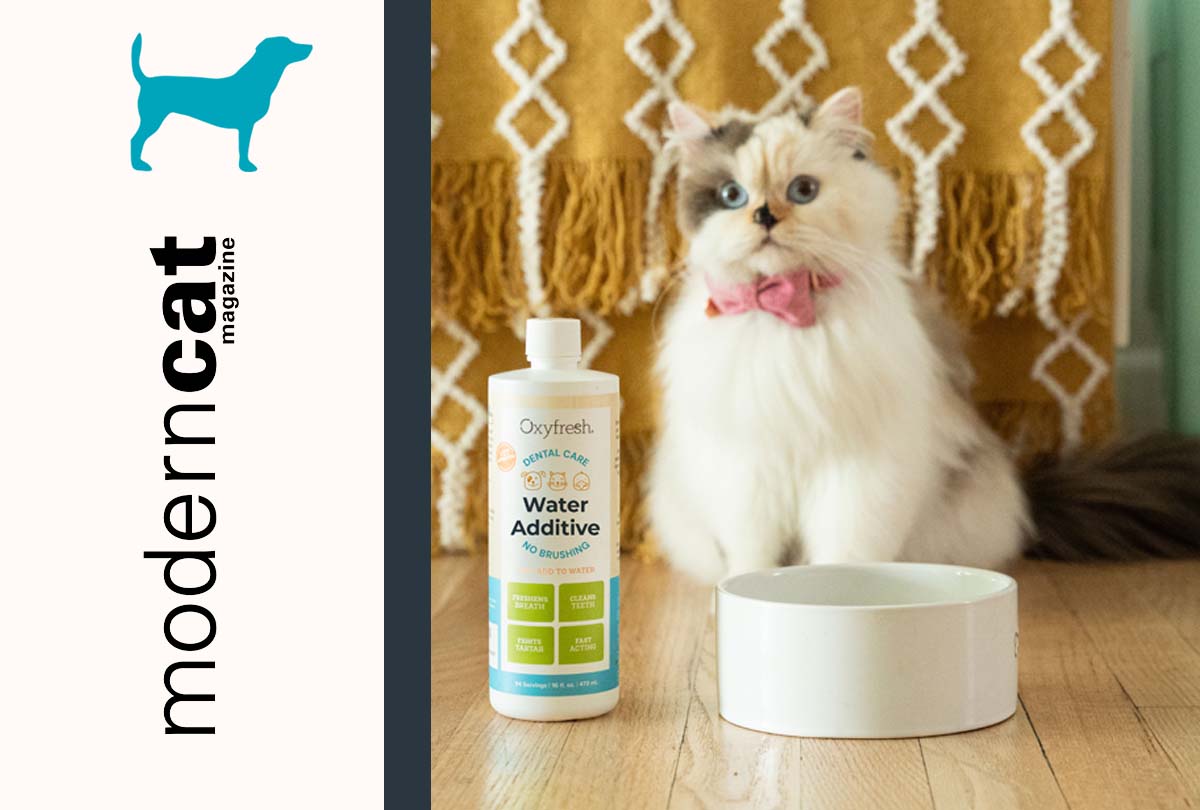 Modern Cat Spotlights Oxyfresh as a Must-Have for Feline Freshness