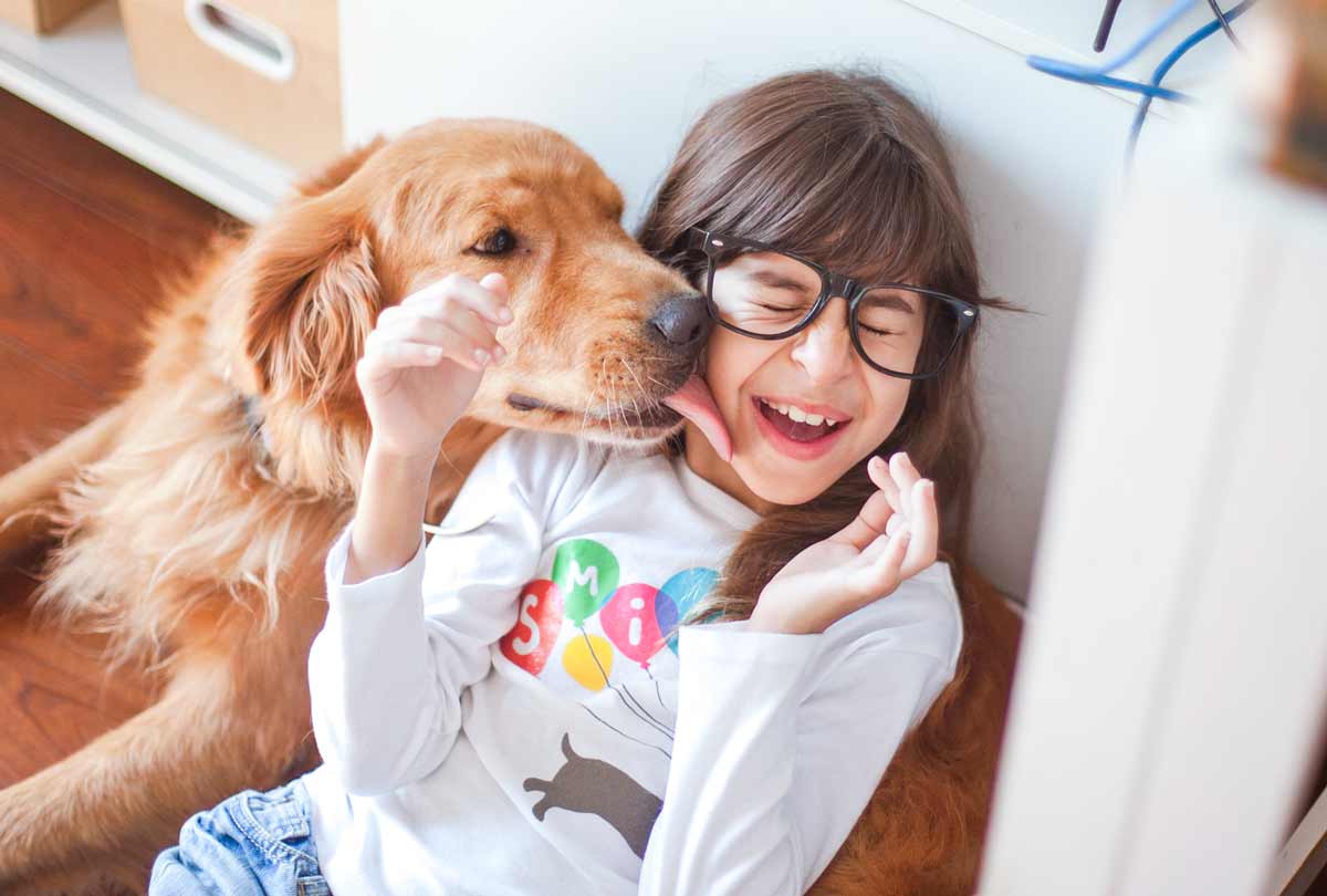 How to Get Rid of Dog Bad Breath Fast?