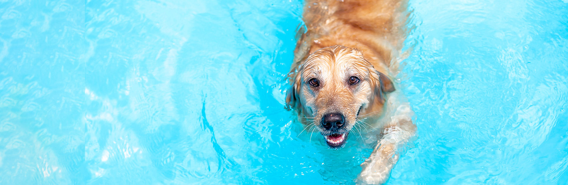 Summer Odors? Oxygene® to the Rescue!