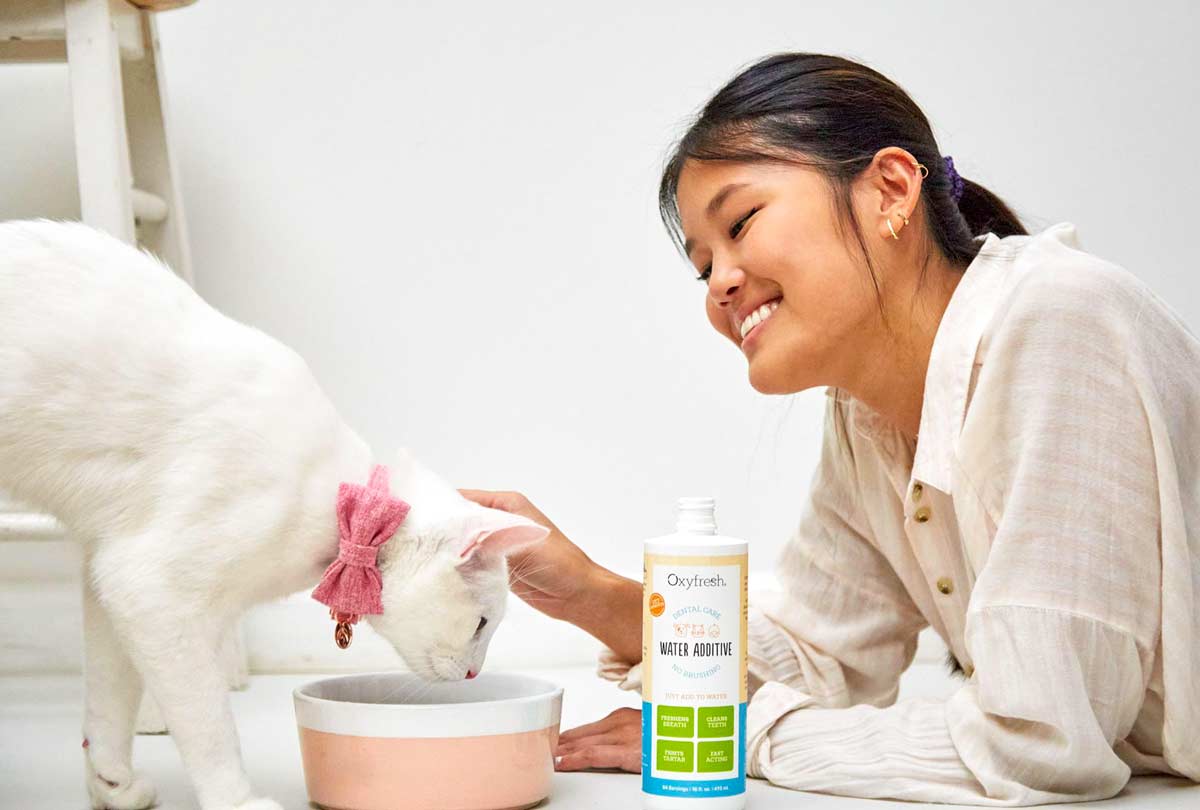 Managing Your Cat's Bad Breath: Treatments That Work