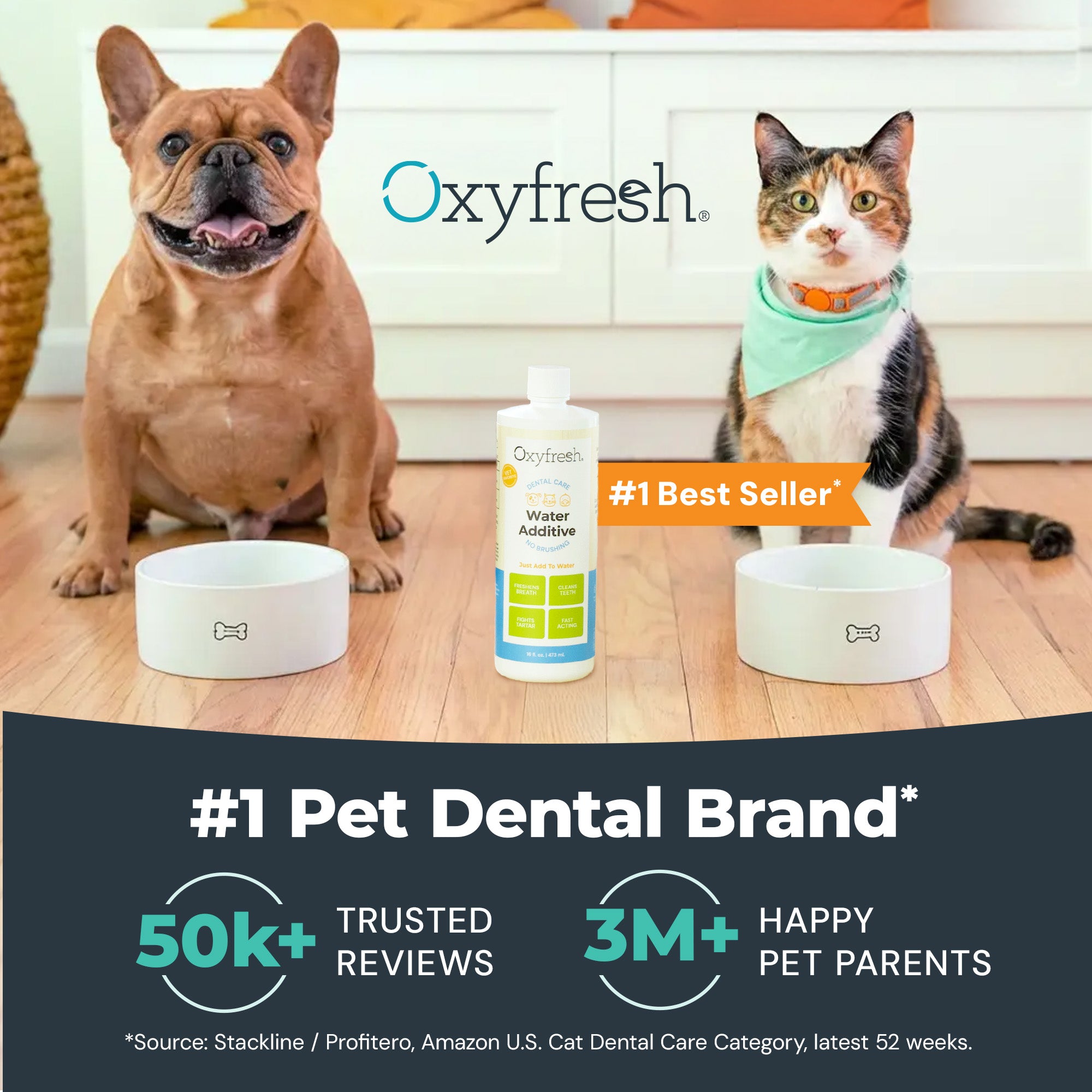 Advanced Dental Powder for Dogs & Cats ... Fresh Breath Just in 14 Days