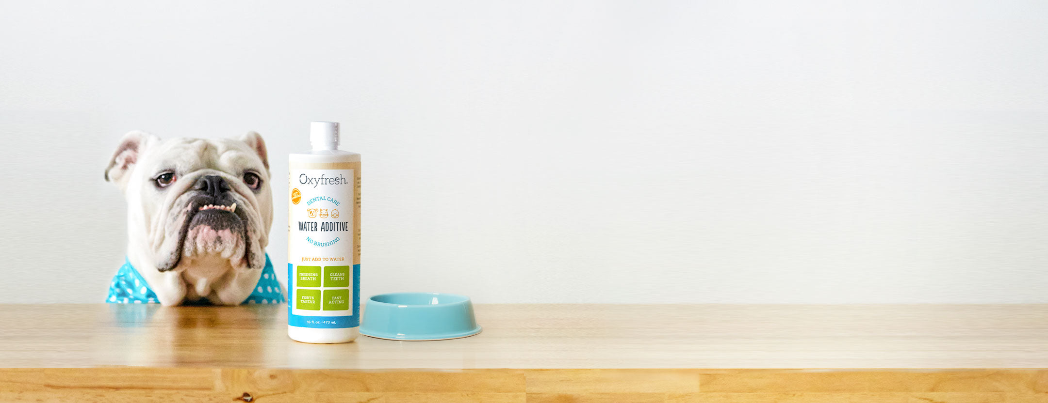 Oxyfresh-pet-dental-water-additive-helps-to-eliminate-bad-breath-and-reduce-plaque-and-tartar-giving-your-pet-a-beautiful-smile-throughout-their-entire-life-bulldog-with-pet-water-additive-on-the-counter-with-a-water-bowl