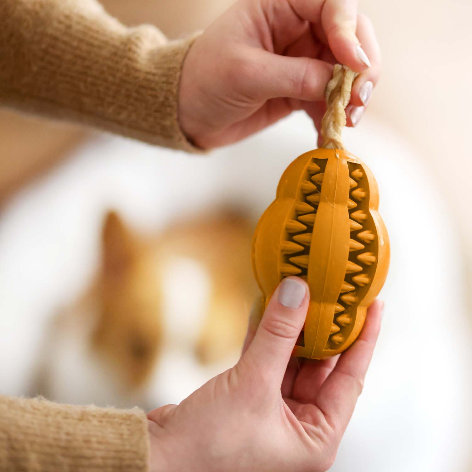 Pet Water Additive + Pet Dental Chew Toy