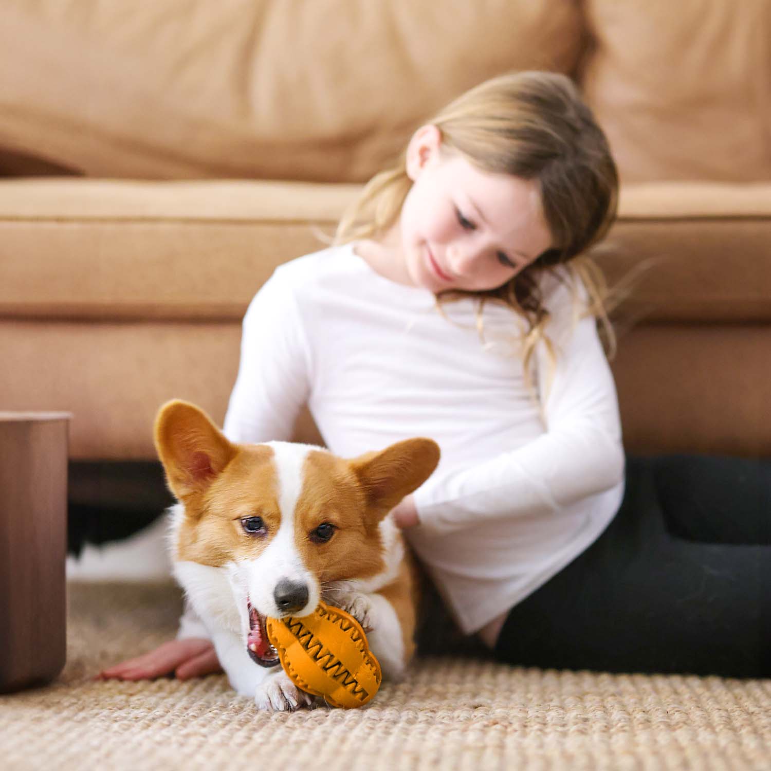 Pet Water Additive + Pet Dental Chew Toy