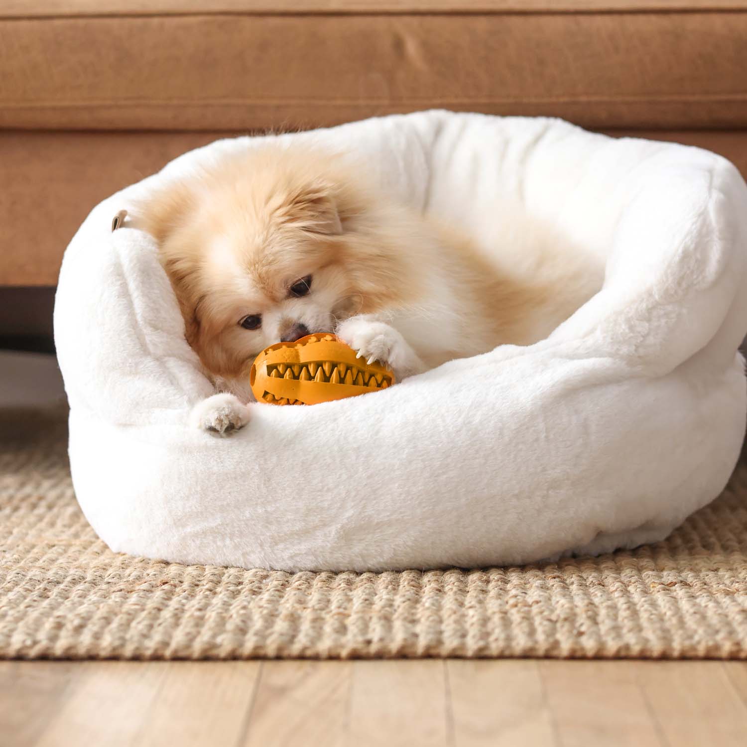 Pet Water Additive + Pet Dental Chew Toy