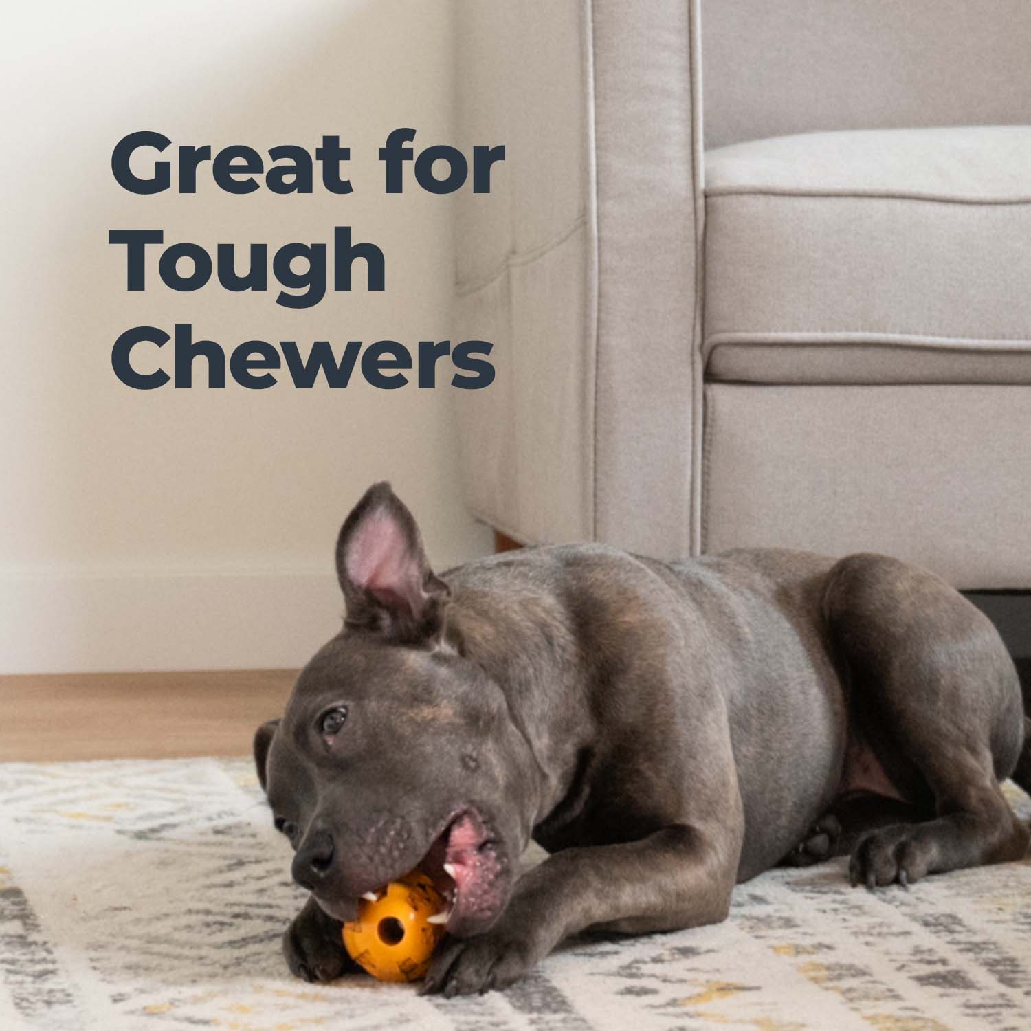 Oxyfresh_pet_chew_toy_outside_dog_toys_for_large_dogs_who_love_to_chew_tough