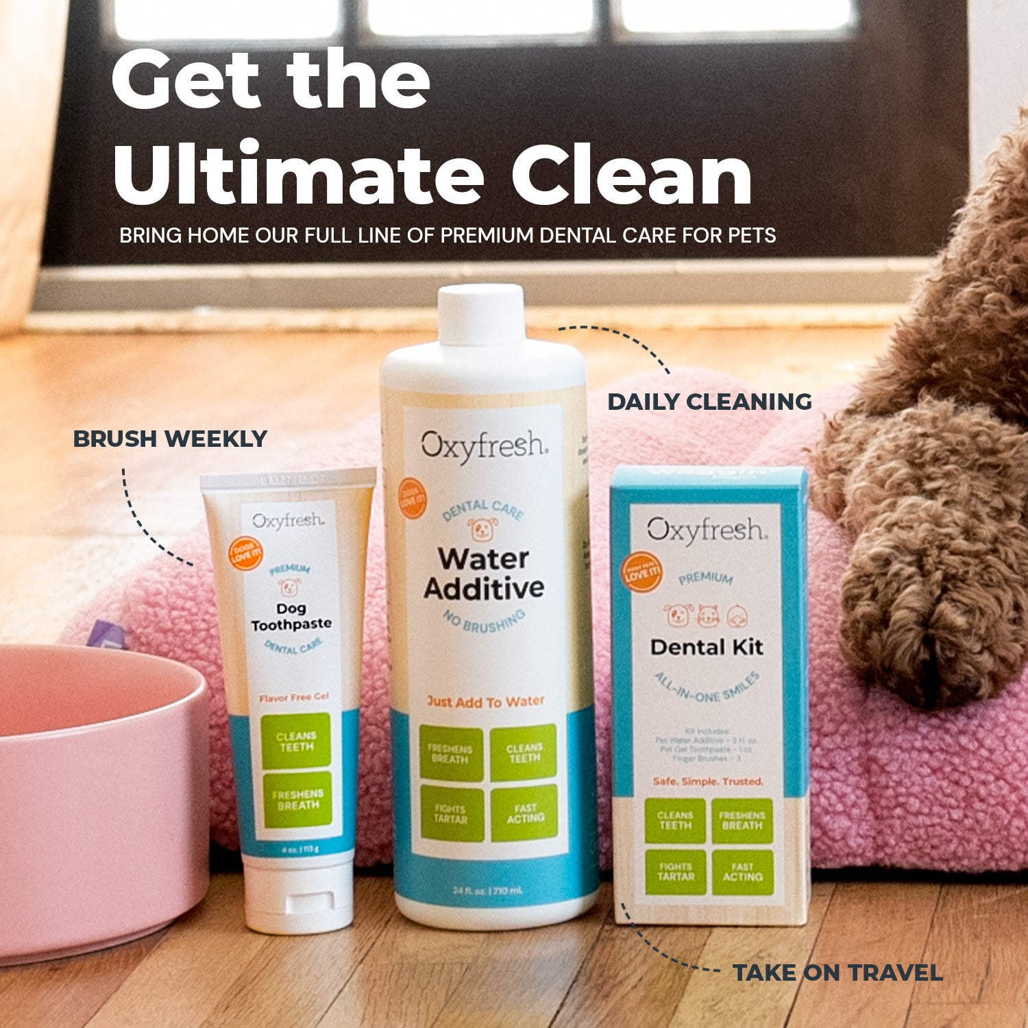 Pet Water Additive + Pet Dental Chew Toy