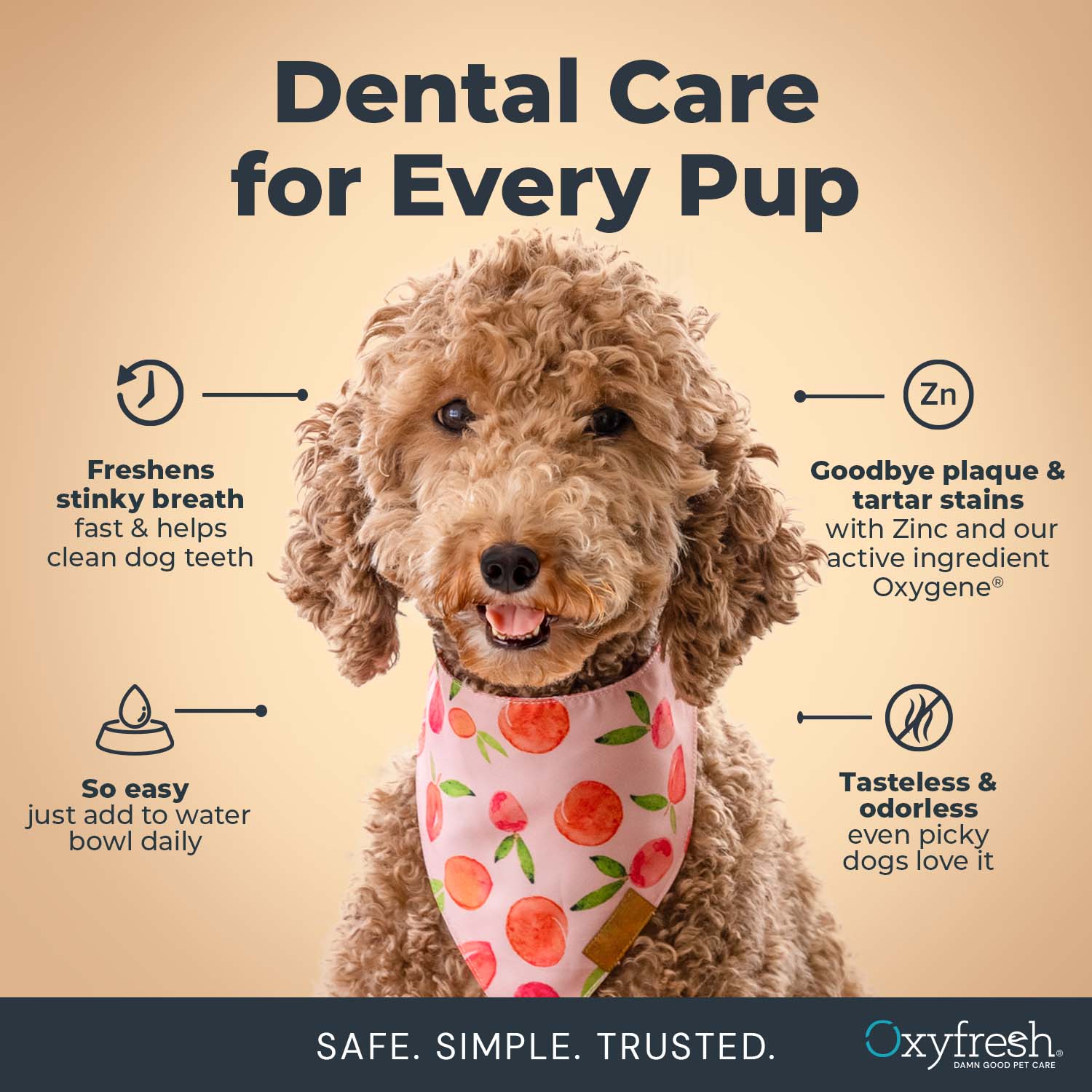 Pet Water Additive + Pet Dental Chew Toy