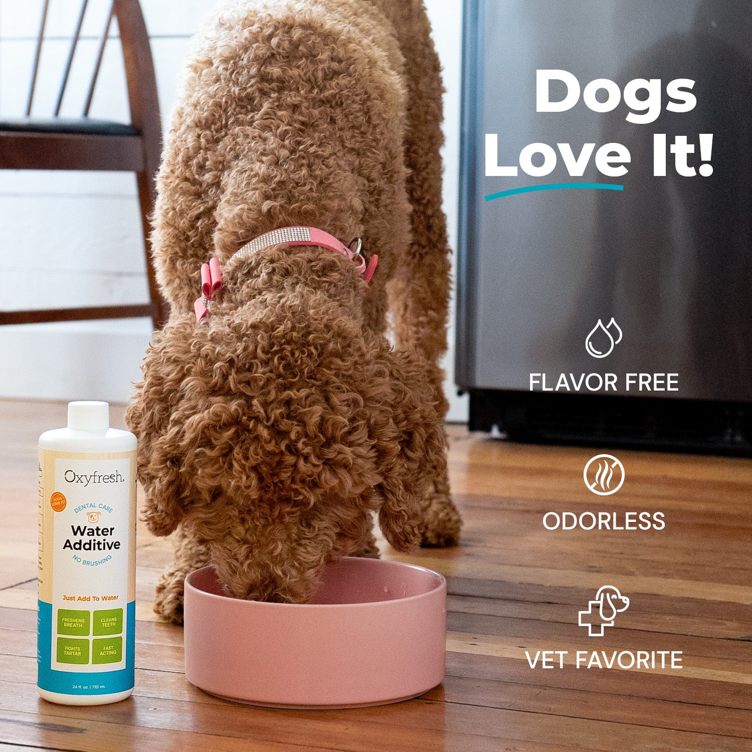 Pet Water Additive + Pet Dental Chew Toy