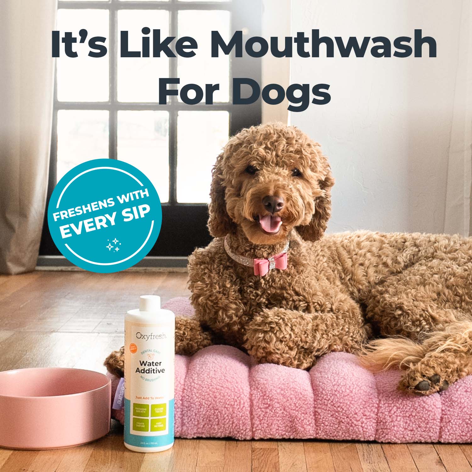 Pet Water Additive + Pet Dental Chew Toy