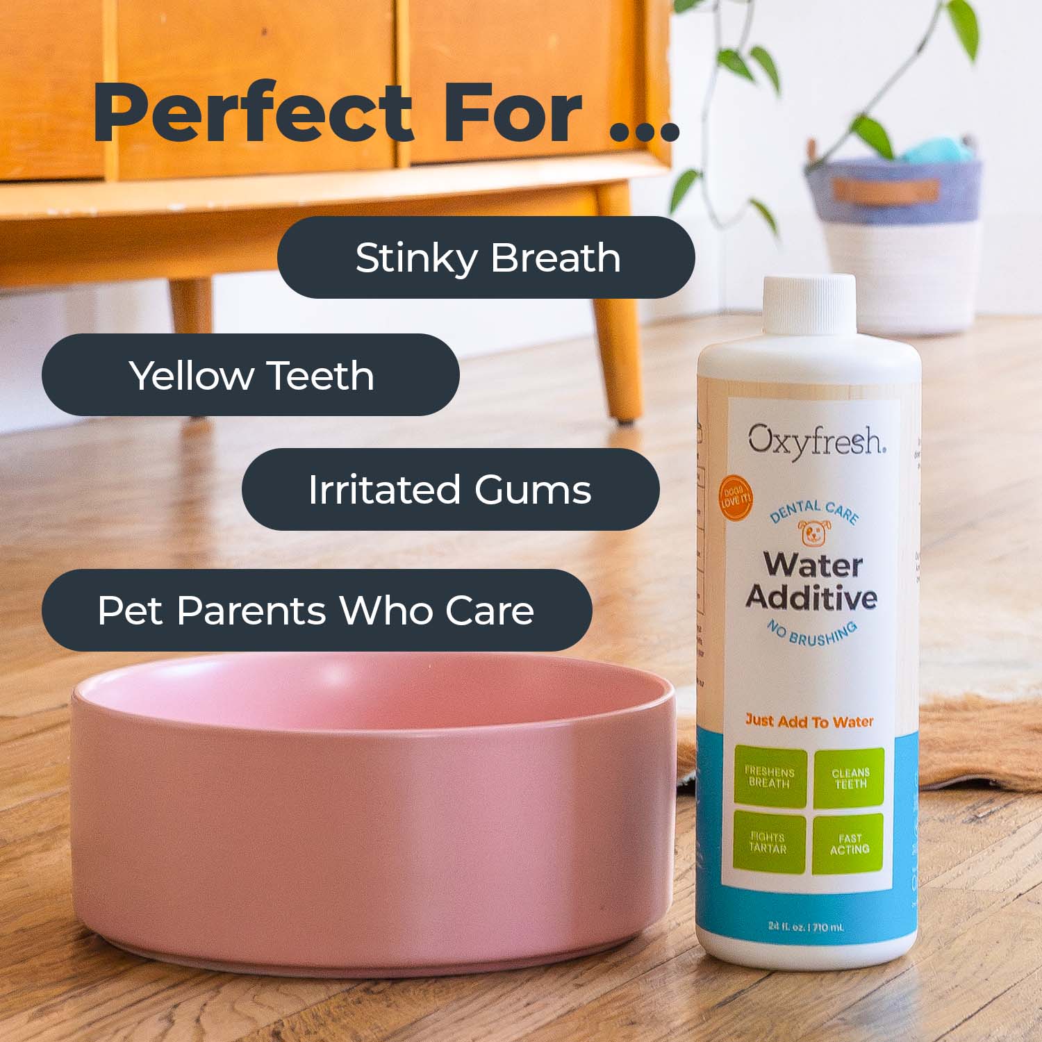 Pet Water Additive + Pet Dental Chew Toy