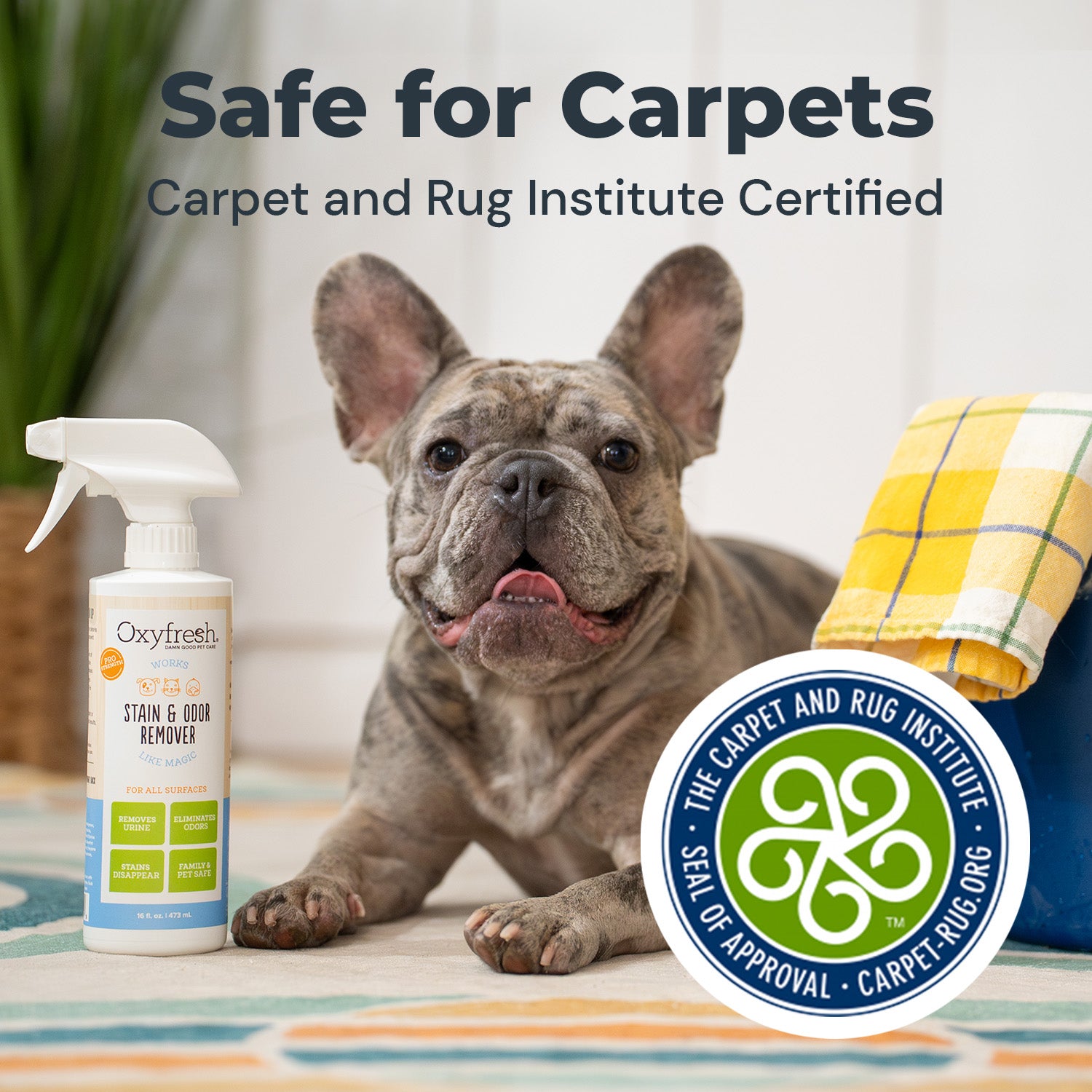 Pet Dental Water Additive + Stain & Odor Remover