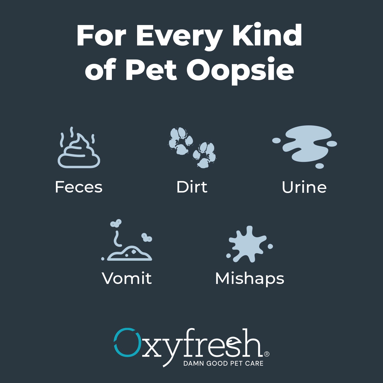 Advanced Pet Stain & Odor Remover - Best Way to Remove Stains