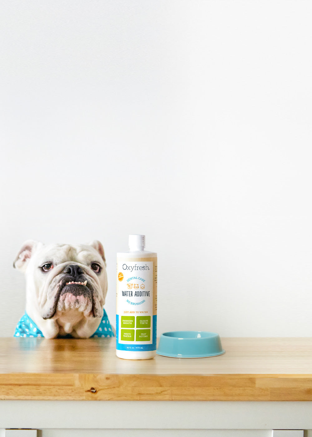 Oxyfresh-pet-dental-water-additive-helps-to-eliminate-bad-breath-and-reduce-plaque-and-tartar-giving-your-pet-a-beautiful-smile-throughout-their-entire-life-bulldog-with-pet-water-additive-on-the-counter-with-a-water-bowl