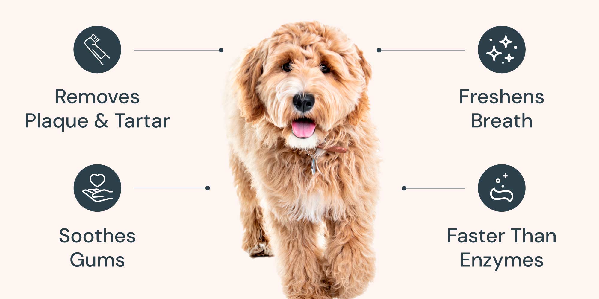 oxyfresh-pet-toothpaste-removes-plaque_tartar-soothes-gums-freshens-breath-faster-than-enzymes