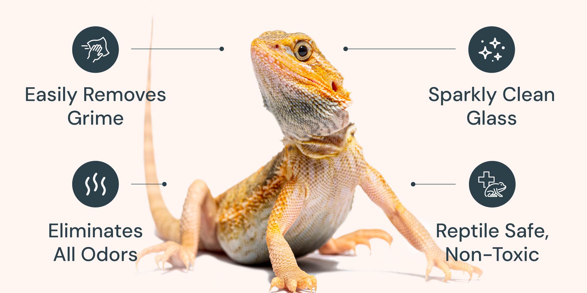 oxyfresh-terrarium-cleaner-easily-removes-grime-eliminates-all-odors-sparkly-clean-glass-reptile-safe-non-toxic