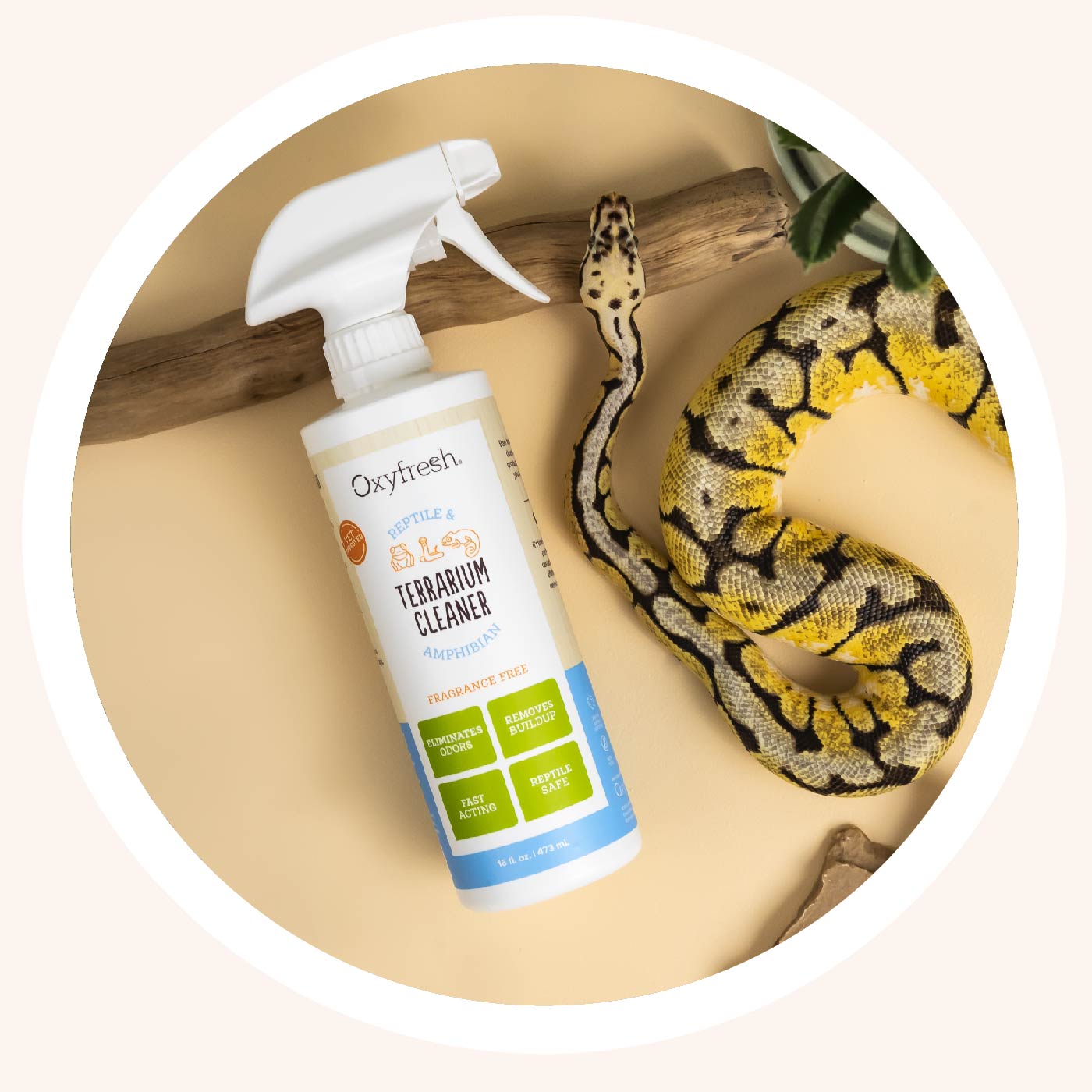 oxyfresh-terrarium-cleaner_oxyfresh-best-terrarium-cleaner
