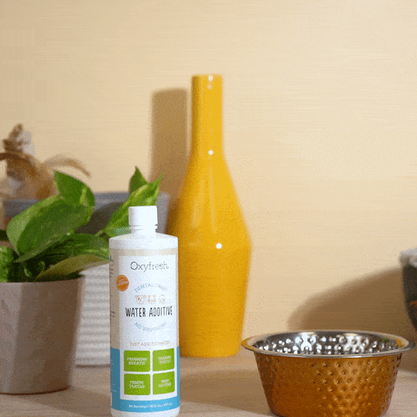 oxyfresh pet water additive video of woman pouring 1 tsp of the dog breath freshener in a dog bowl on the table