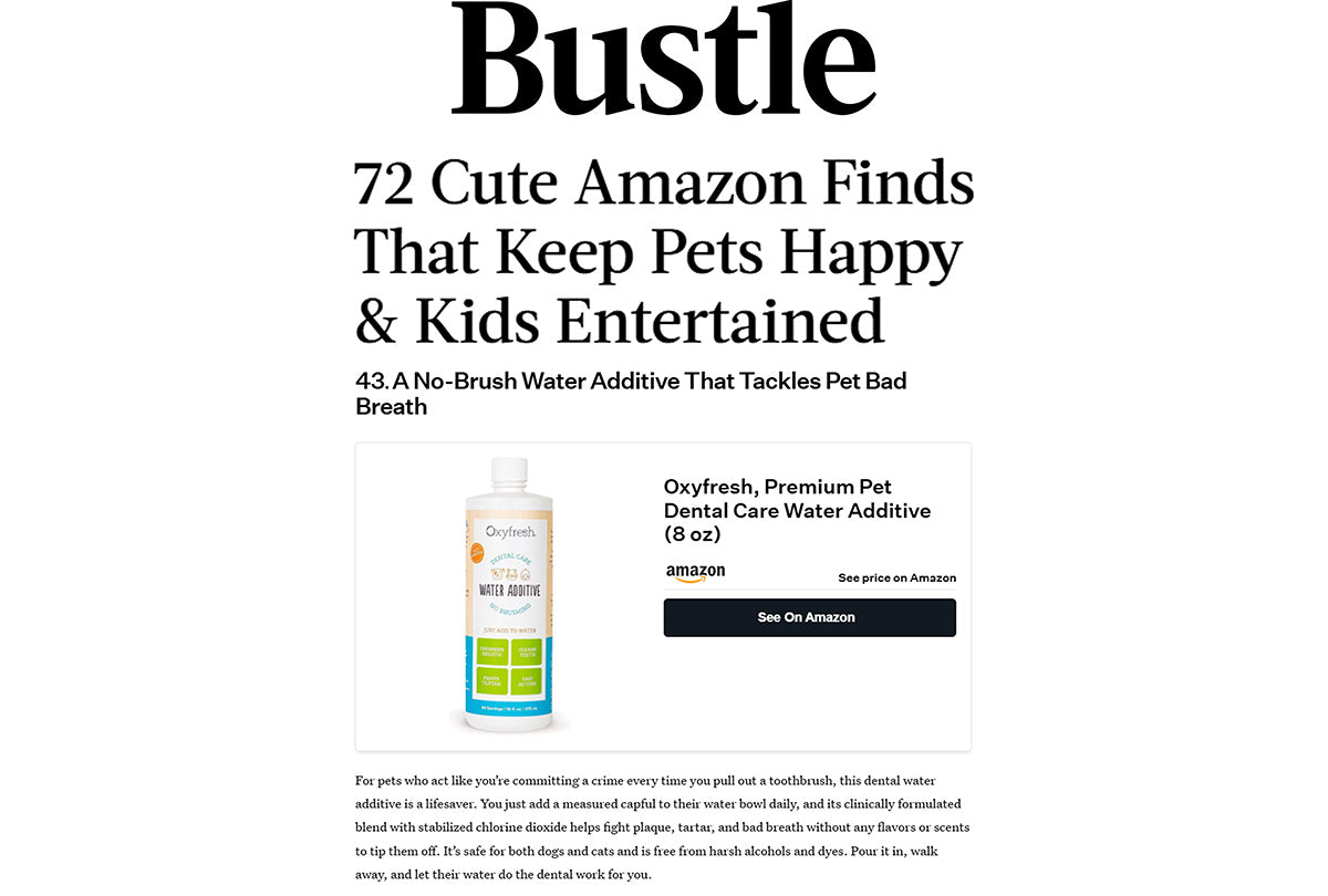 Bustle: "72 Cute Amazon Finds That Keep Pets Happy & Kids Entertained"