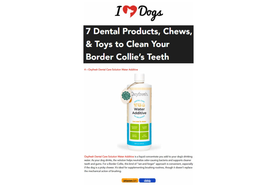 7 Dental Products, Chews, & Toys to Clean Your Border Collie’s Teeth