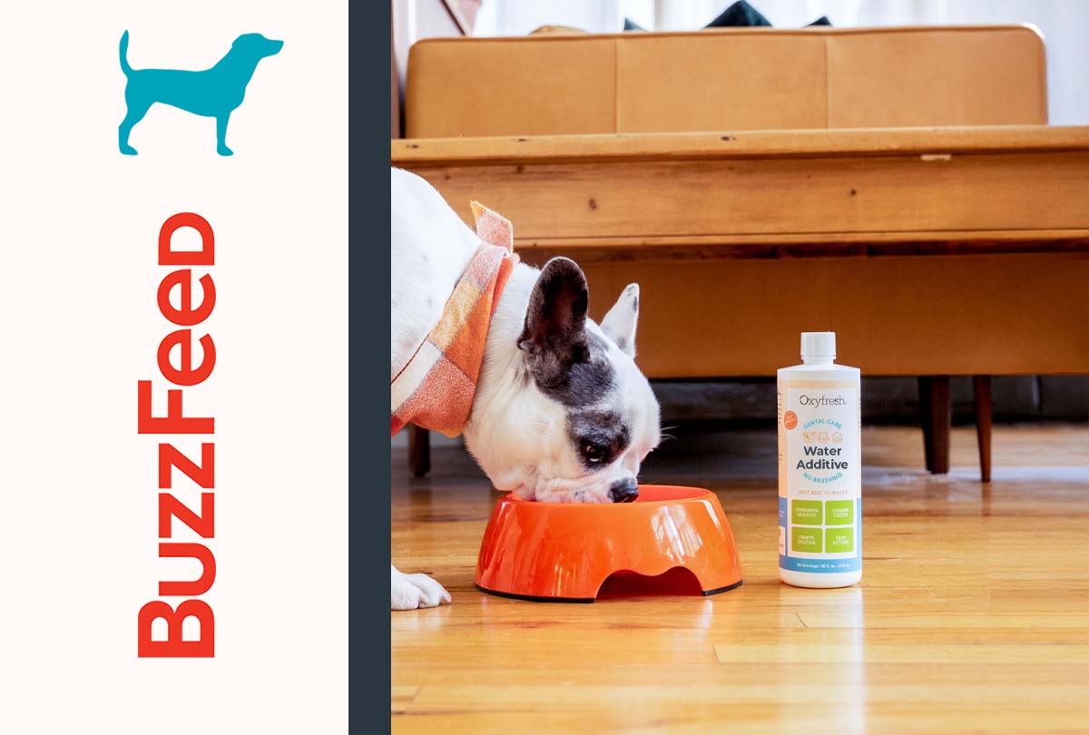 BuzzFeed Names Oxyfresh a Go-To Dental Solution for Pets Who Hate Toothbrushes