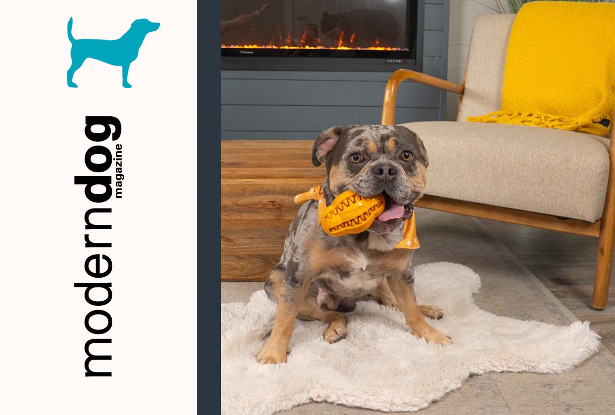 Modern Dog Names Oxyfresh Dental Chew Toy an Editor’s Pick!