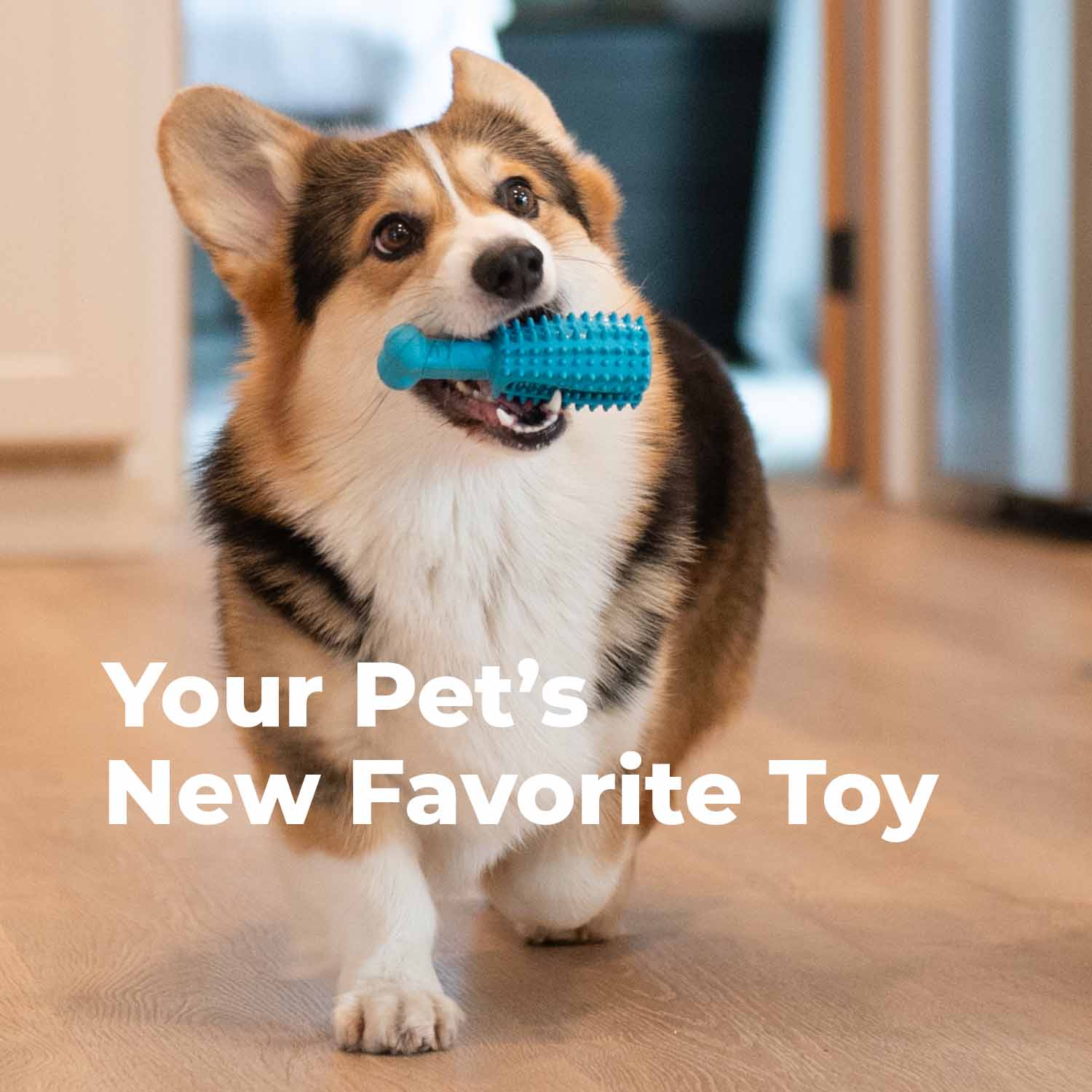 Dog Dental Chew Toy + Pet Dental Gel Toothpaste