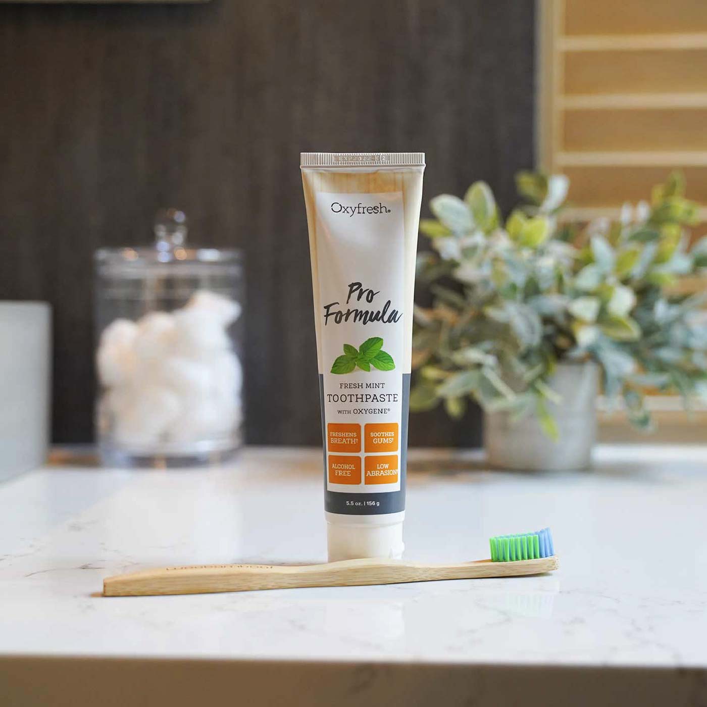 Oxyfresh-pro-formula-toothpaste_copy_oxyfresh-pro-formula-freshmint-toothpaste-on-counter-behind-toothbrush