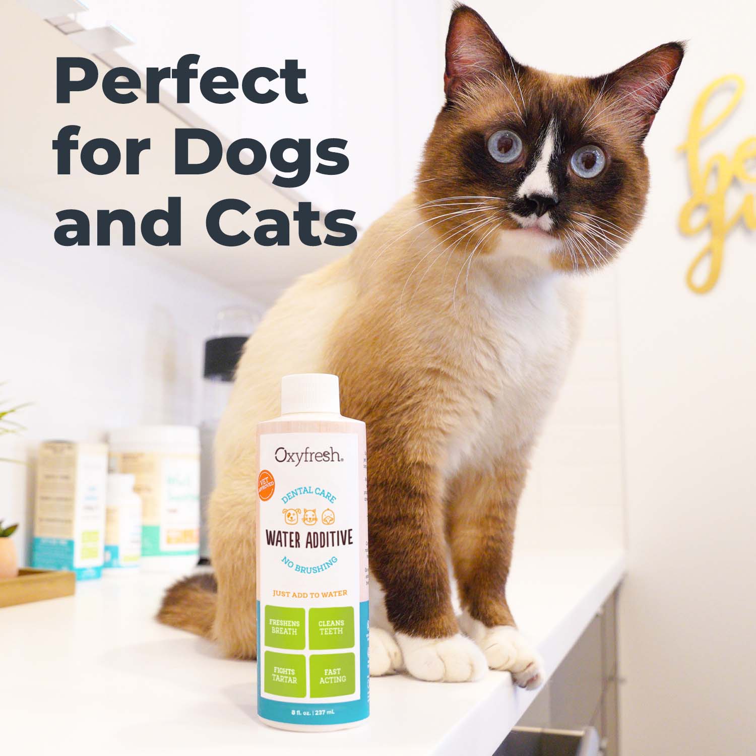 Pet Dental Water Additive + Stain & Odor Remover