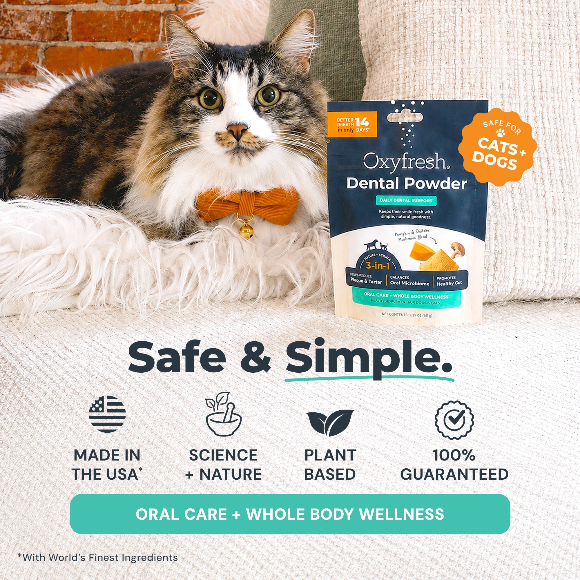 Advanced Dental Powder for Dogs & Cats ...  Fresh Breath Just in 14 Days