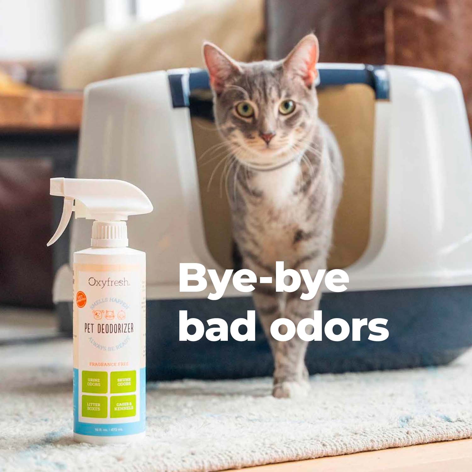 oxyfresh-pet-odor-eliminator-spray-allows-you-to-say-bye-bye-to-bad-odors