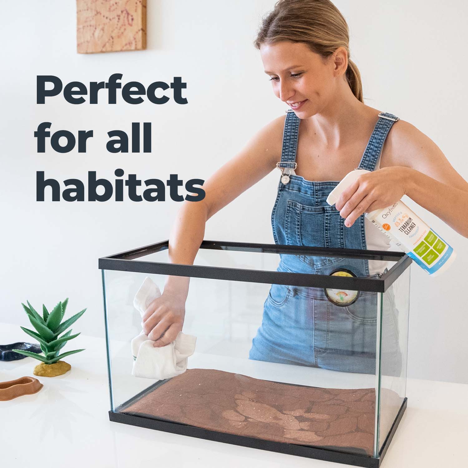 Oxyfreshterrariumcleanerlifestyle1