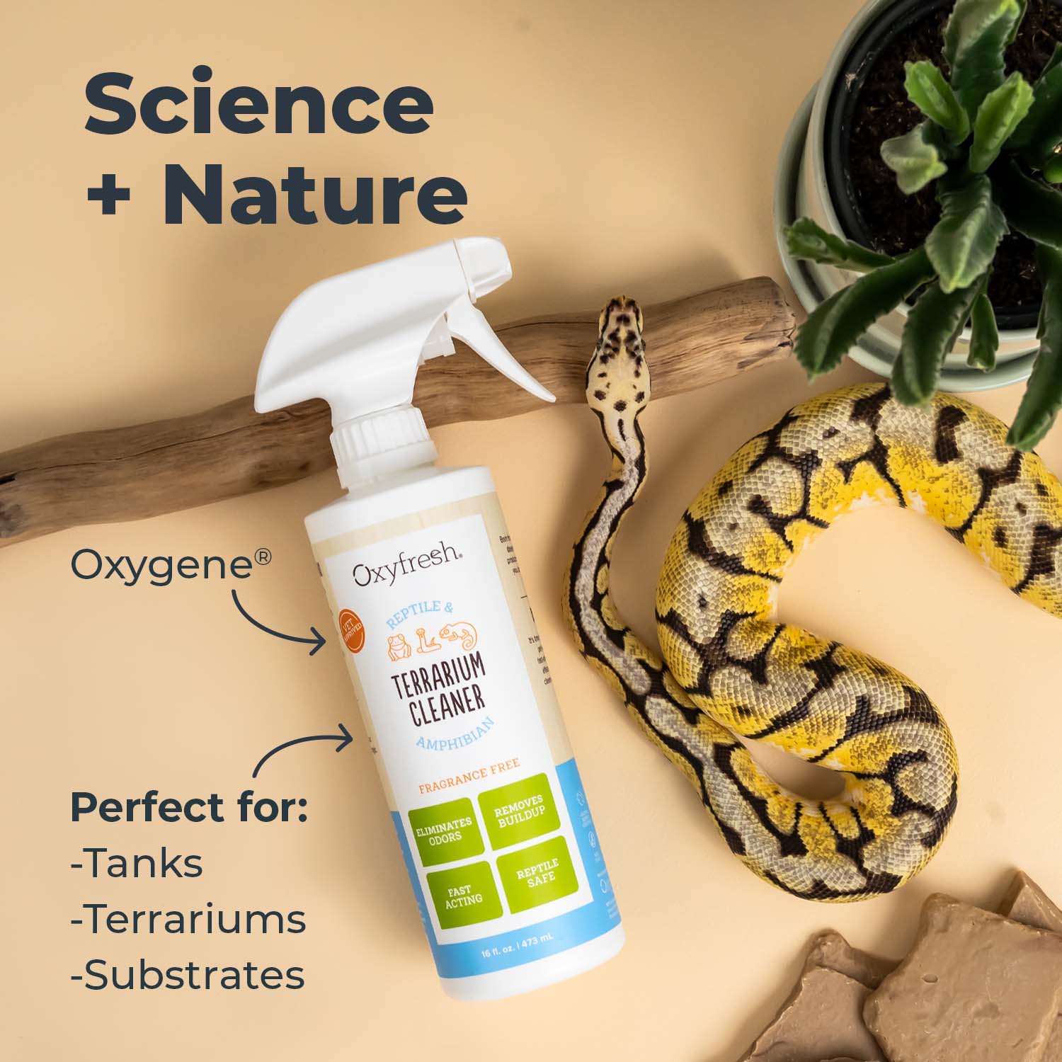 Oxyfreshterrariumcleanerscience_nature