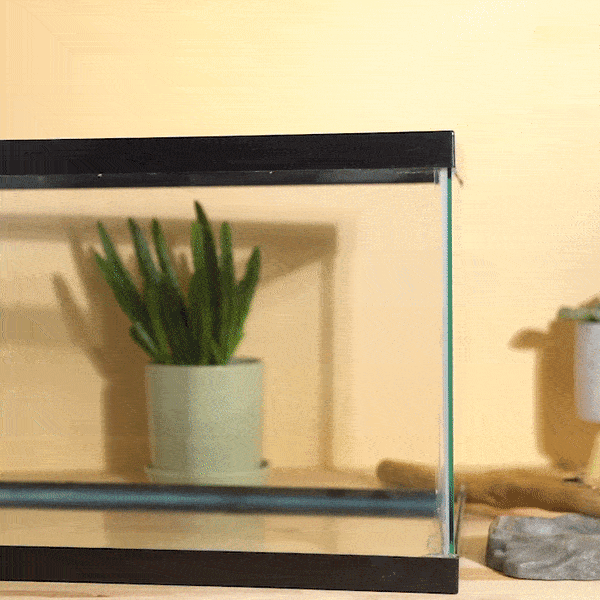 Advanced Terrarium Cleaner - Best Reptile & Amphibian Habitat Cleaner